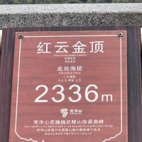 評論圖片 6