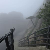 評論圖片 4