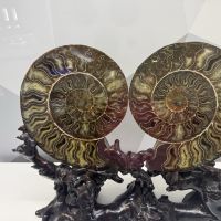 評論圖片 9