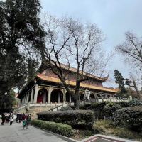 評論圖片 2