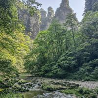 評論圖片 3