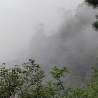 評論圖片 2