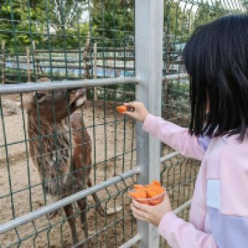 評論圖片 6