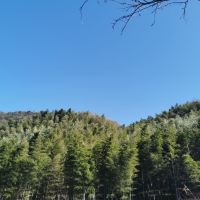 評論圖片 2