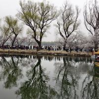 評論圖片 6