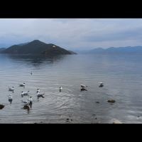 評論圖片 6