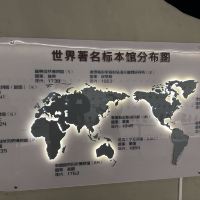 評論圖片 5