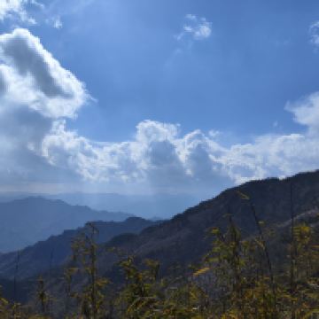評論圖片 8