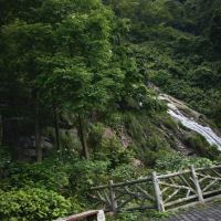 評論圖片 1