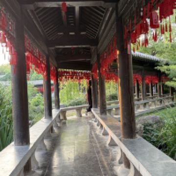 評論圖片 8