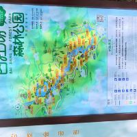 評論圖片 1