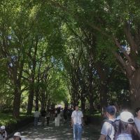 評論圖片 2