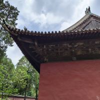 評論圖片 1