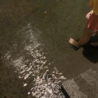 評論圖片 1