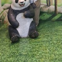 評論圖片 6