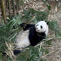 評論圖片 5