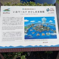 評論圖片 2