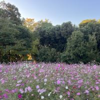 評論圖片 4