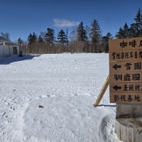 評論圖片 6