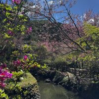 評論圖片 7