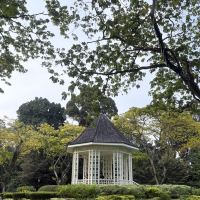 評論圖片 7
