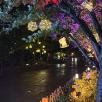 評論圖片 4