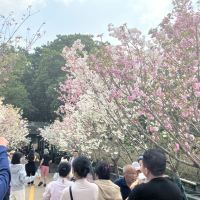 評論圖片 2