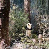 評論圖片 9