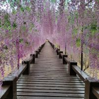 評論圖片 3