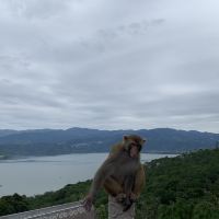 評論圖片 6