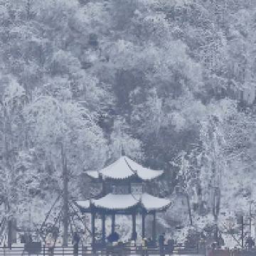 評論圖片 8