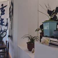 評論圖片 8