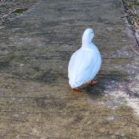 評論圖片 3
