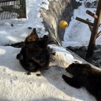 評論圖片 4