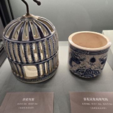 評論圖片 8
