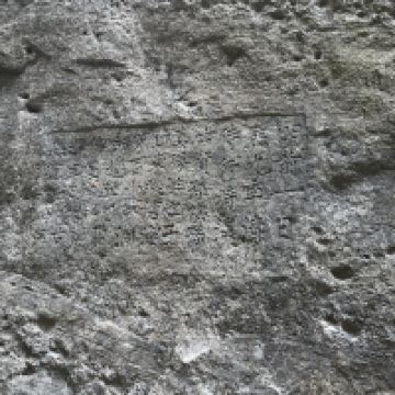 評論圖片 5