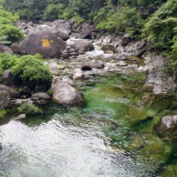 評論圖片 4