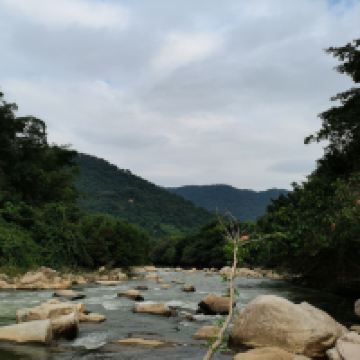 評論圖片 3