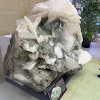 評論圖片 9