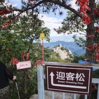 評論圖片 1