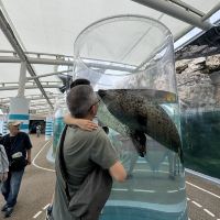 評論圖片 1