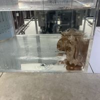 評論圖片 1