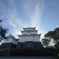 評論圖片 4