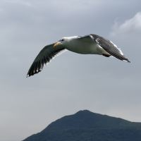 評論圖片 3
