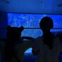 評論圖片 4