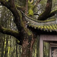 評論圖片 3