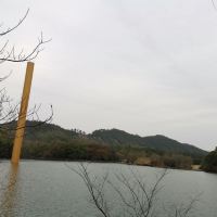 評論圖片 8