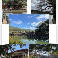 評論圖片 9