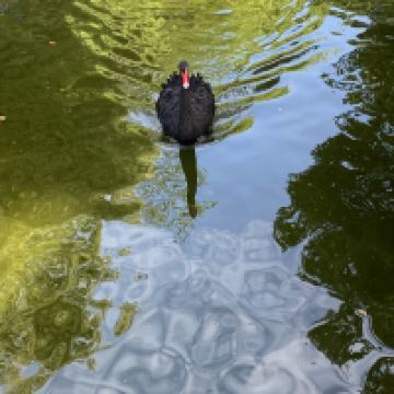 評論圖片 6