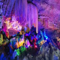 評論圖片 1